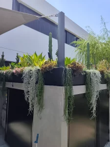 פרויקט אדריכלות ירוקה לאורך החומה
