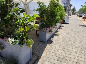 מרחב חוץ רגוע למרפאה וטרינרית
