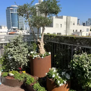 ‏תמונה מ-salo design